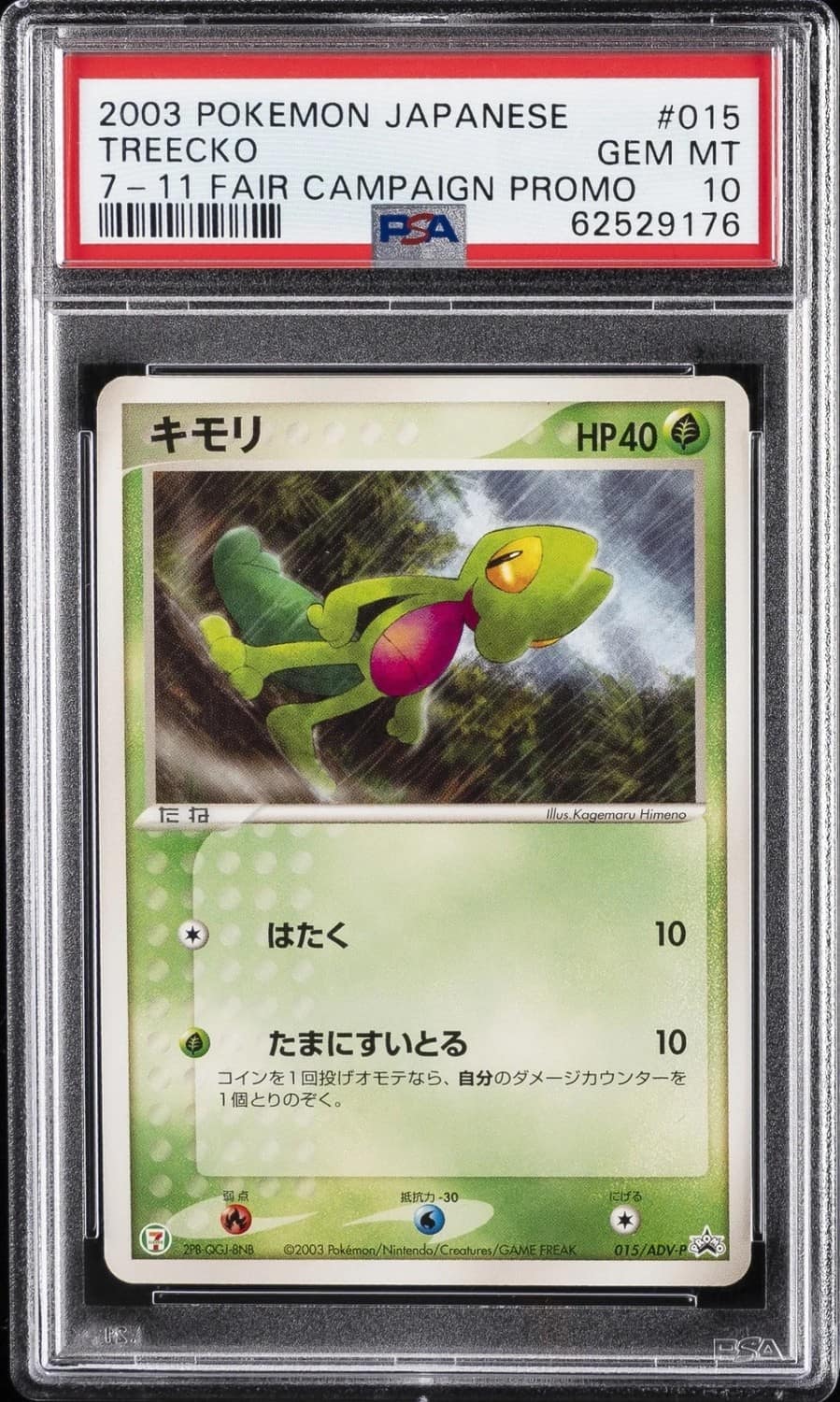 Treecko
