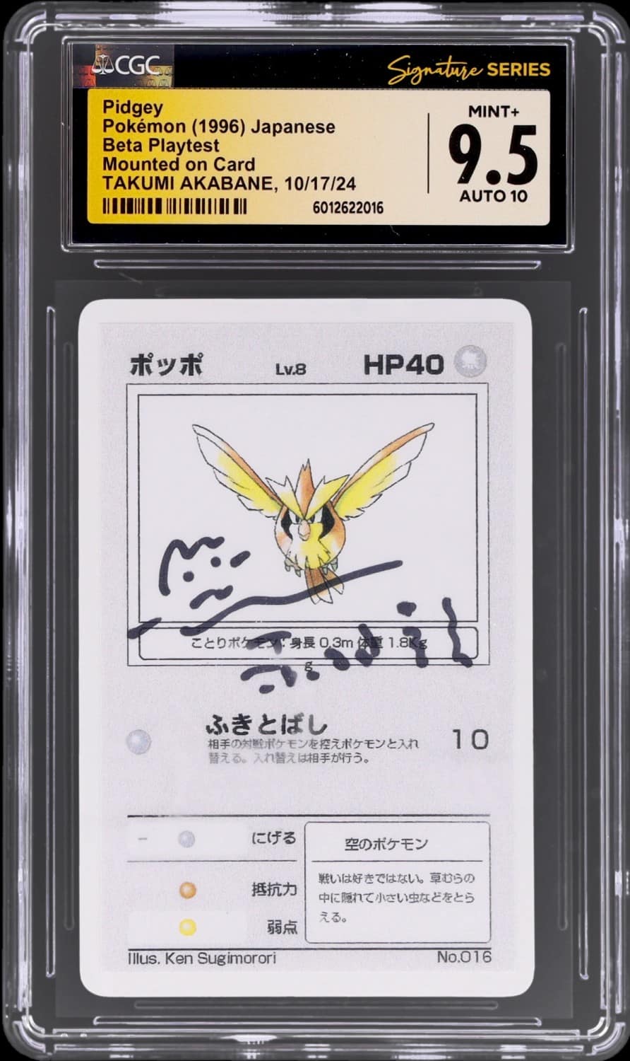 Pidgey