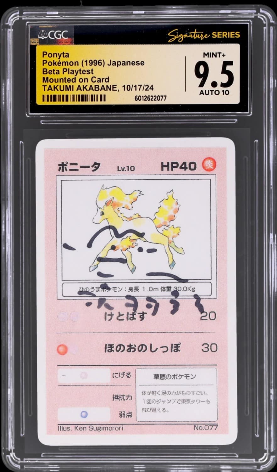 Ponyta