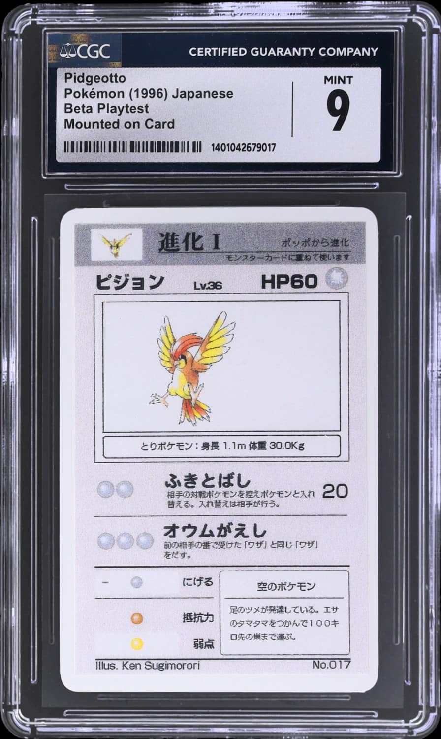 Pidgeotto