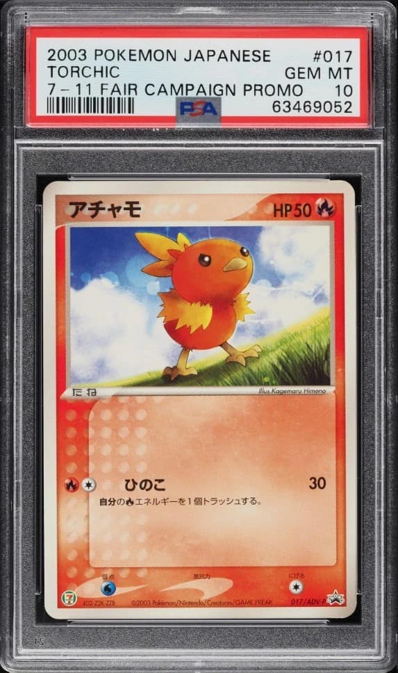 Torchic