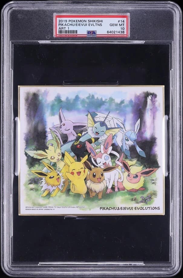 Pikachu & Eevee Evo
