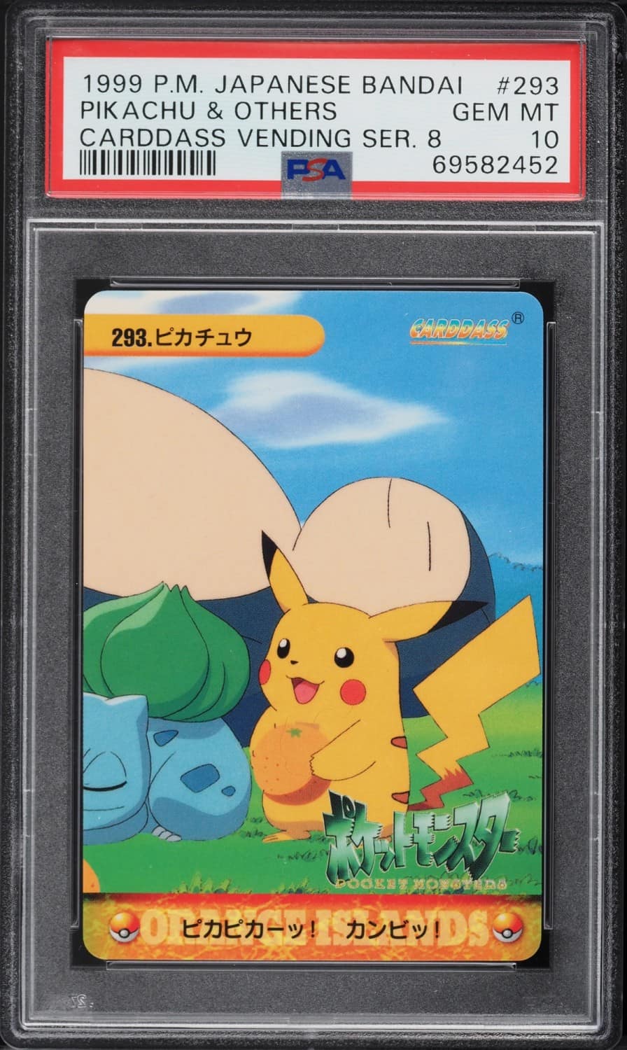 Pikachu & Others