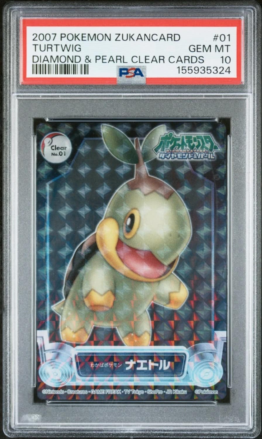 Turtwig