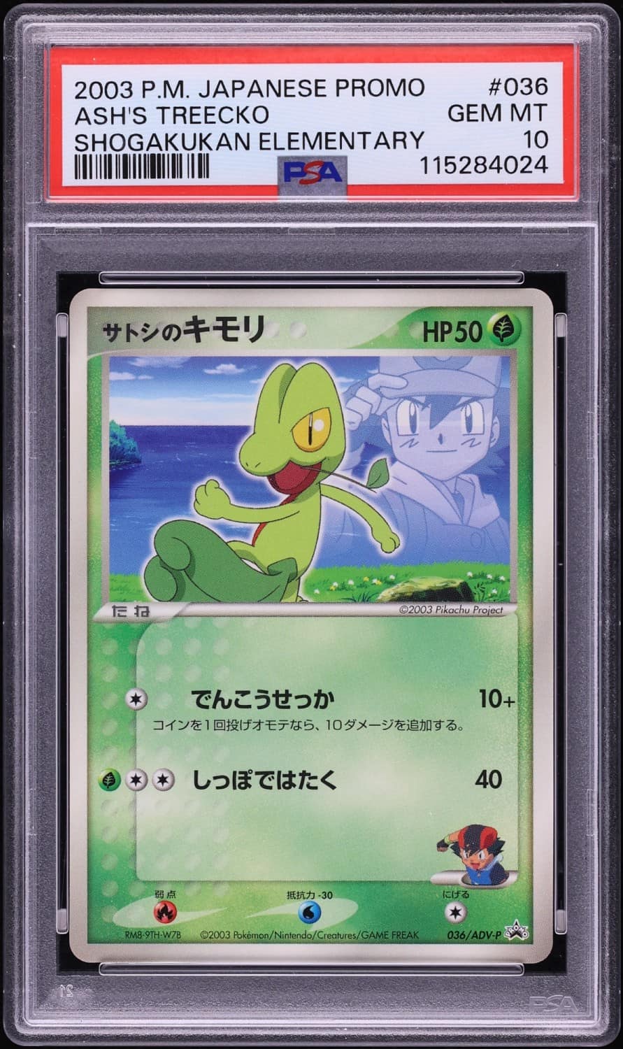 Ash'S Treecko