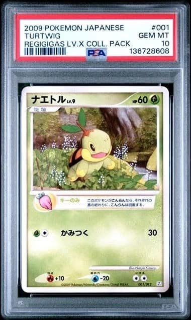 Turtwig