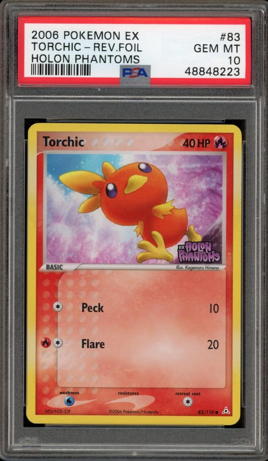 Torchic