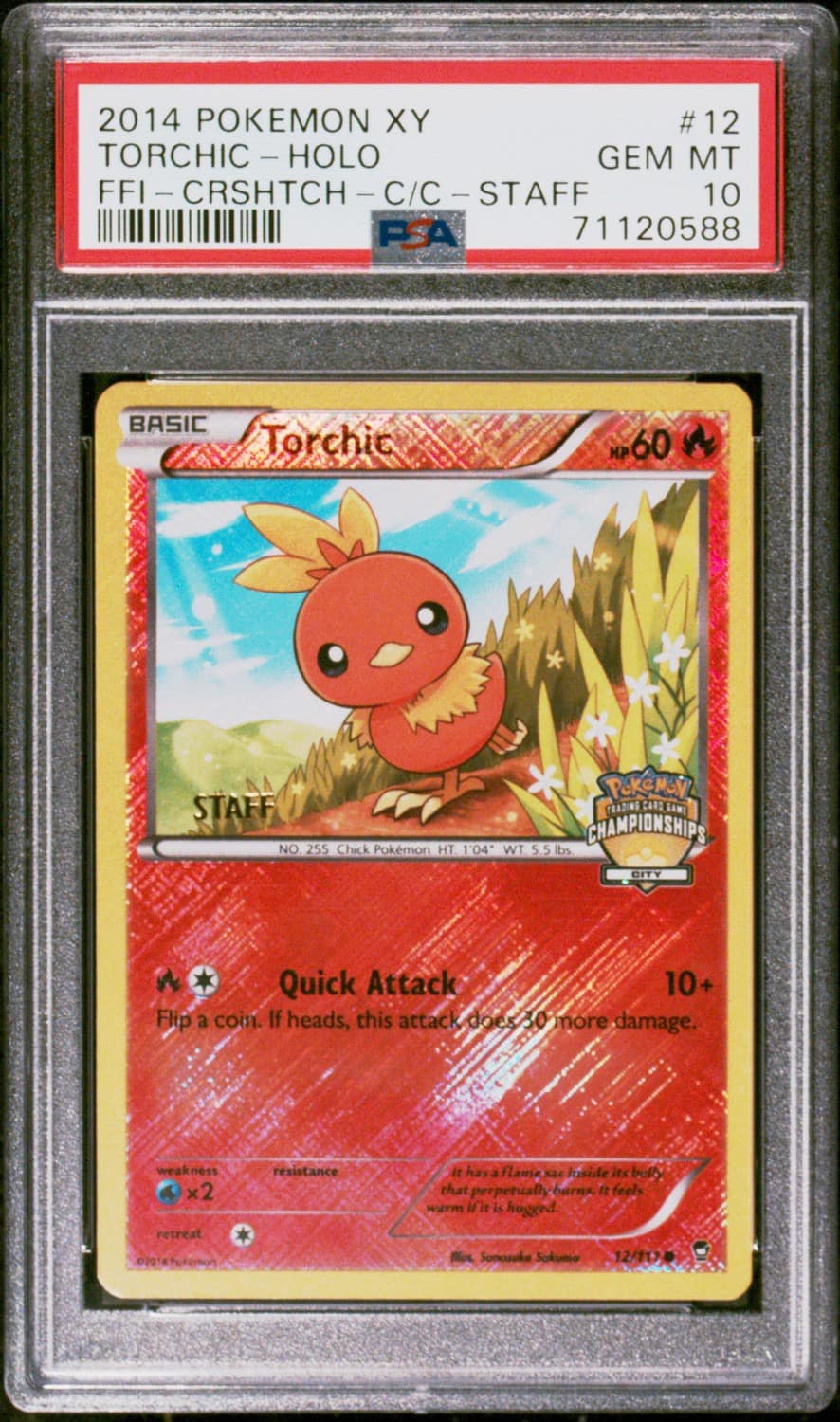Torchic