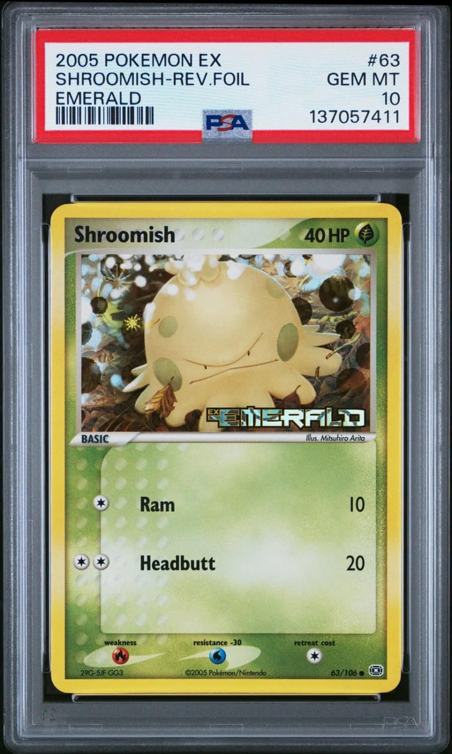 Shroomish
