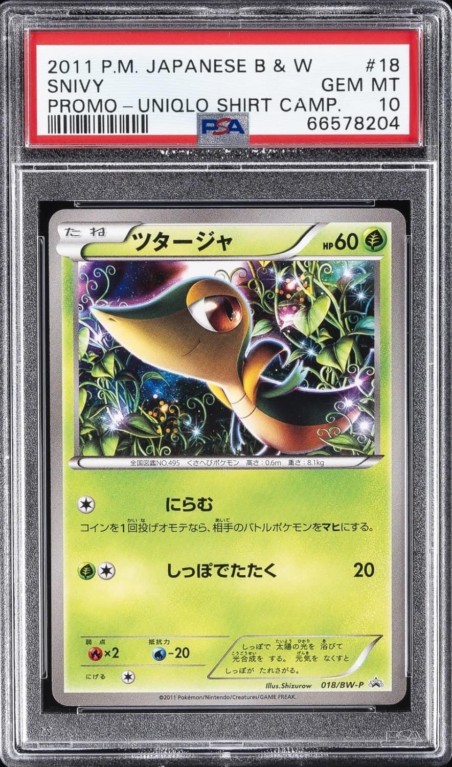 Snivy