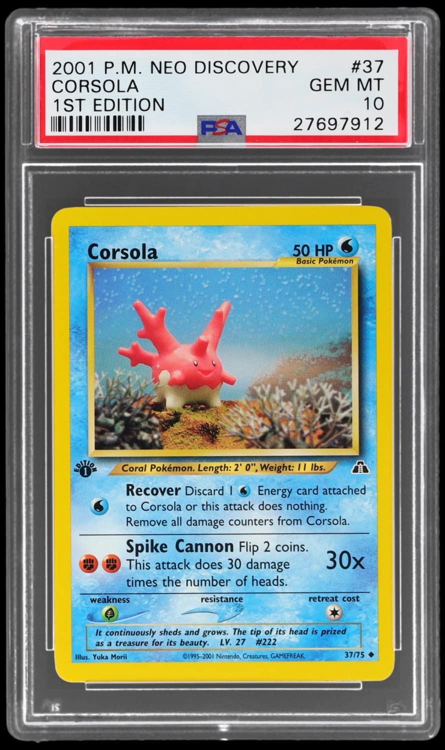 Corsola