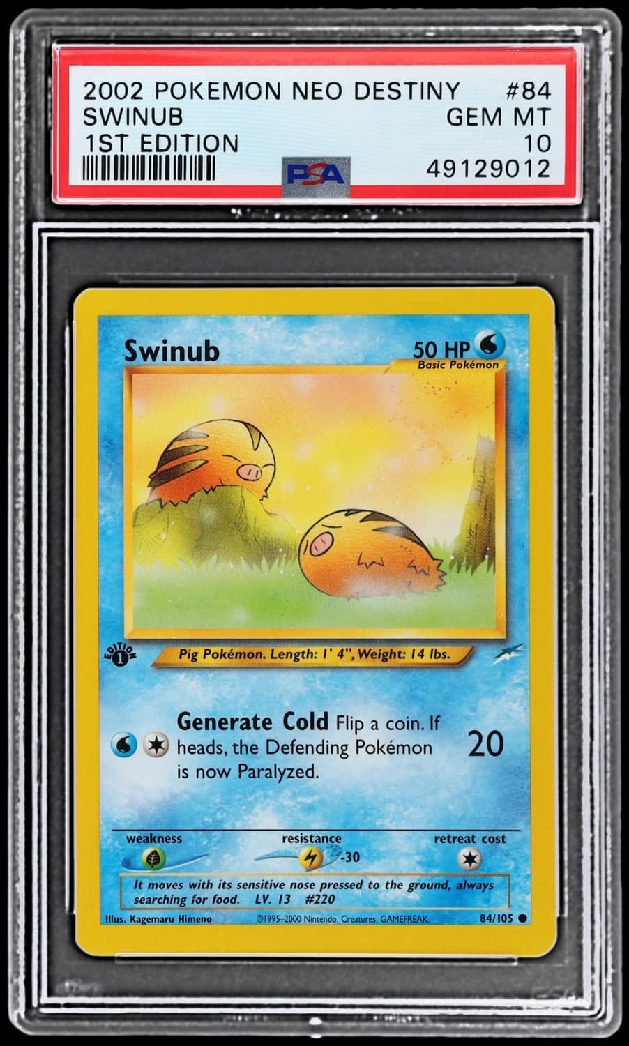 Swinub