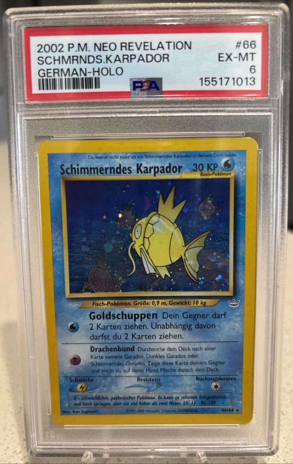 Schimmerndes Karpador