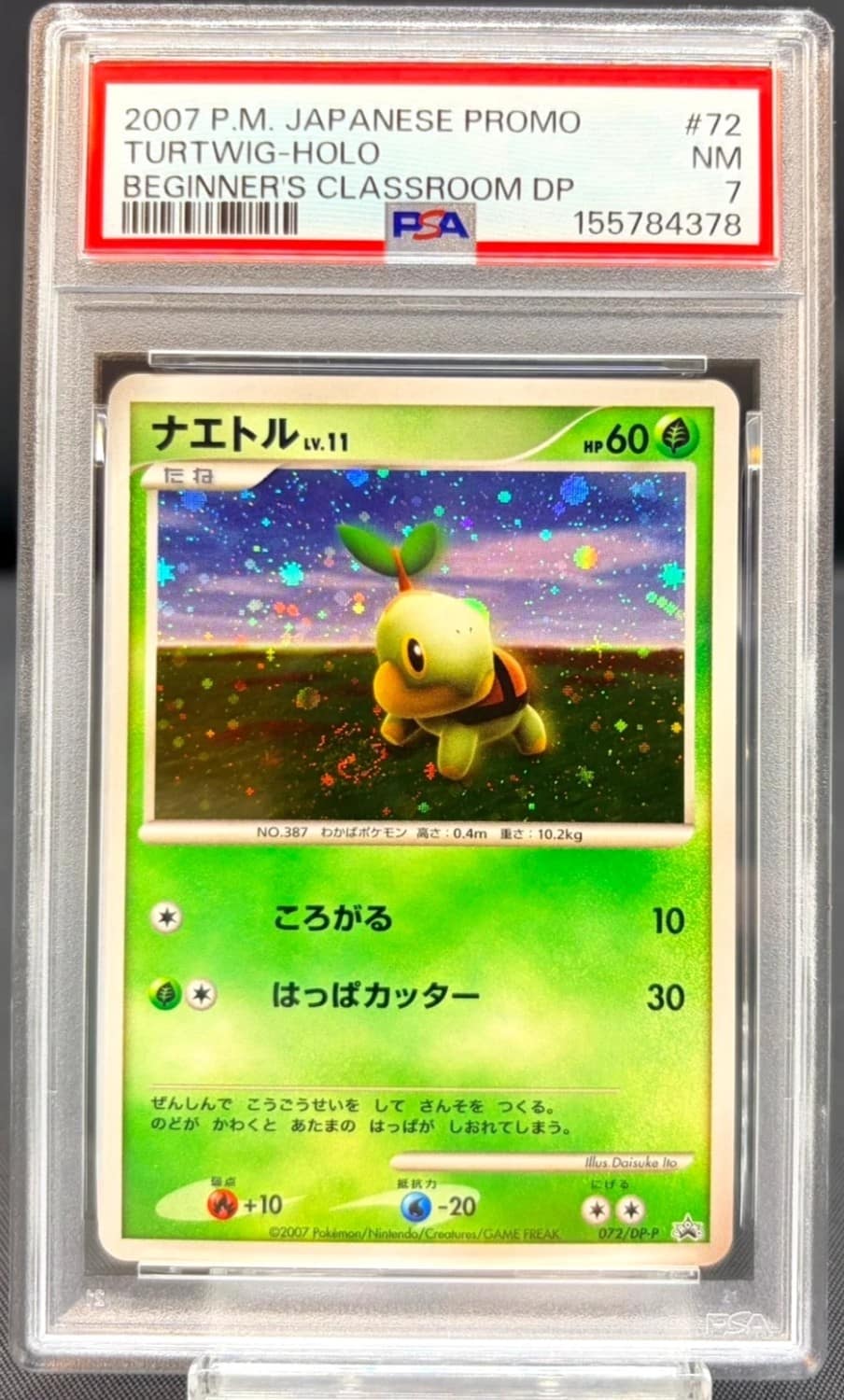 Turtwig