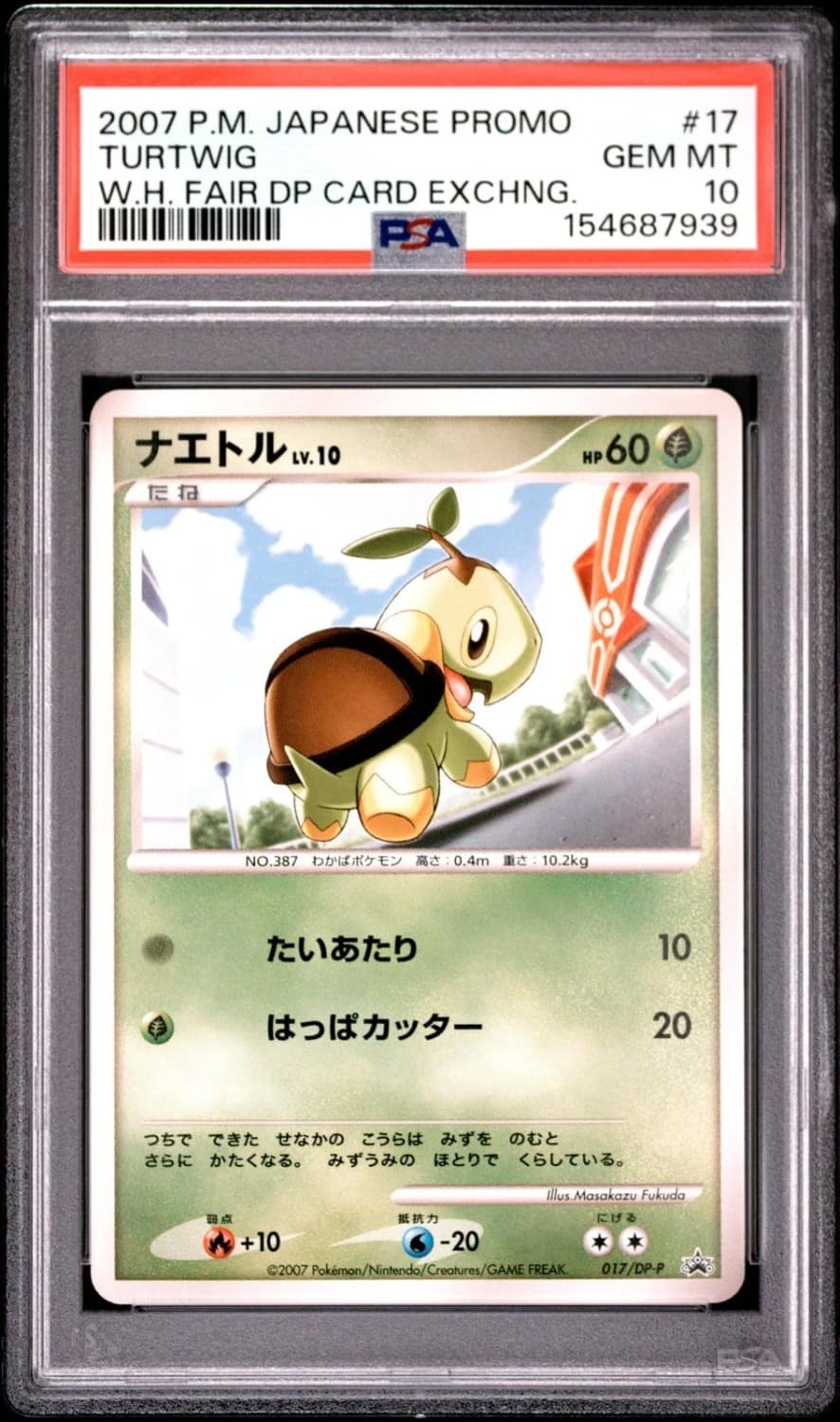 Turtwig