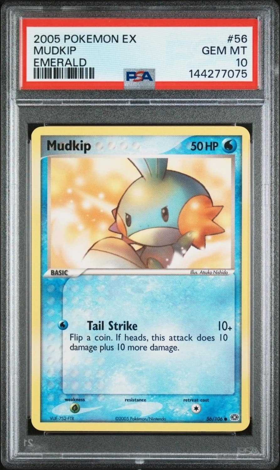 Mudkip