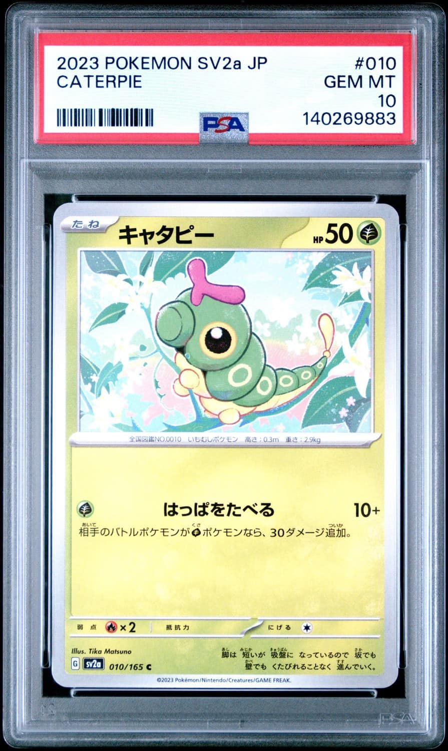 Caterpie
