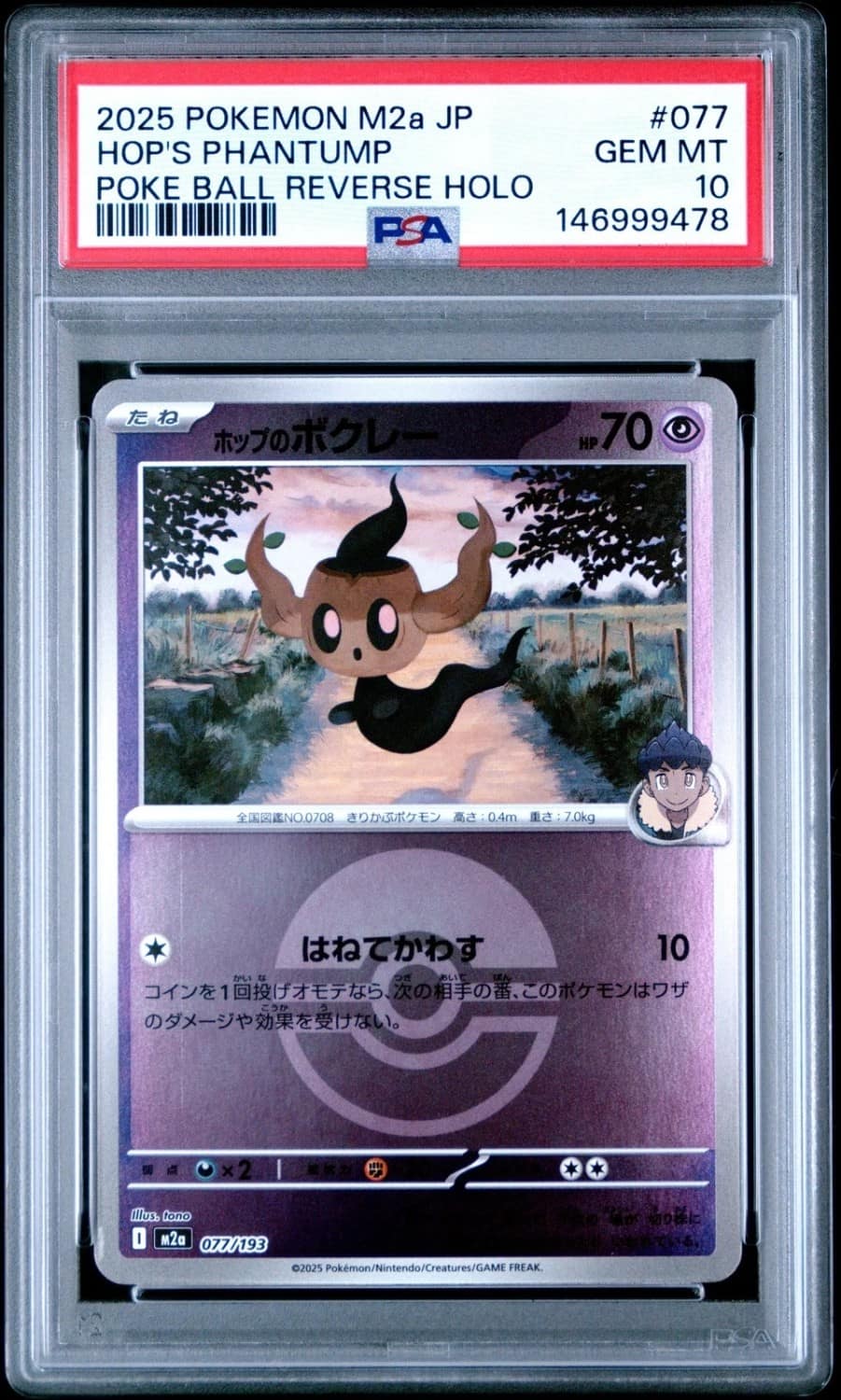 Hop'S Phantump