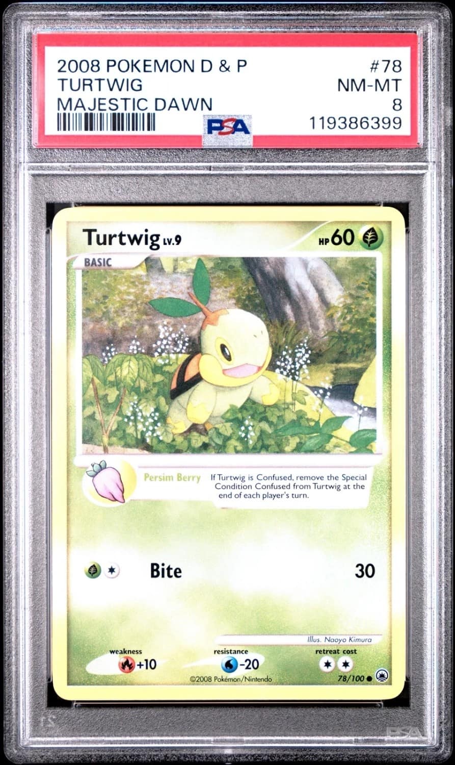 Turtwig