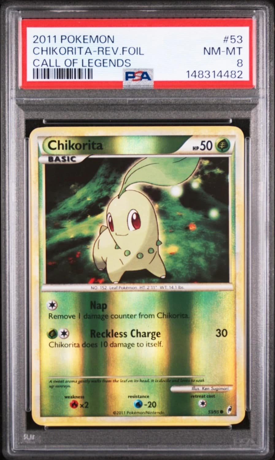 Chikorita