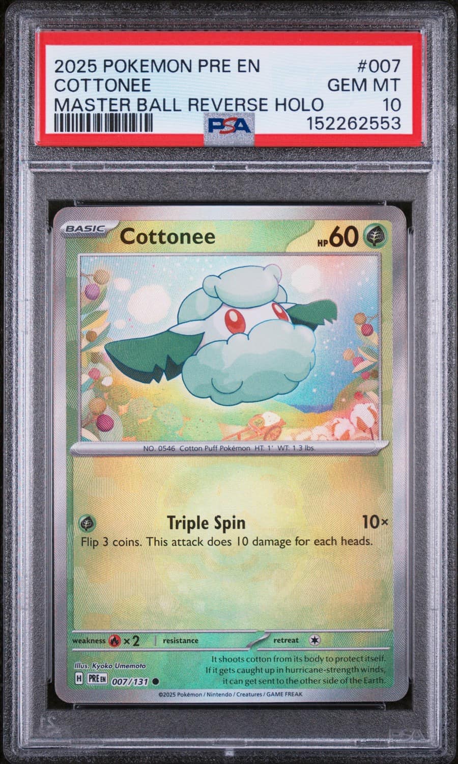 Cottonee