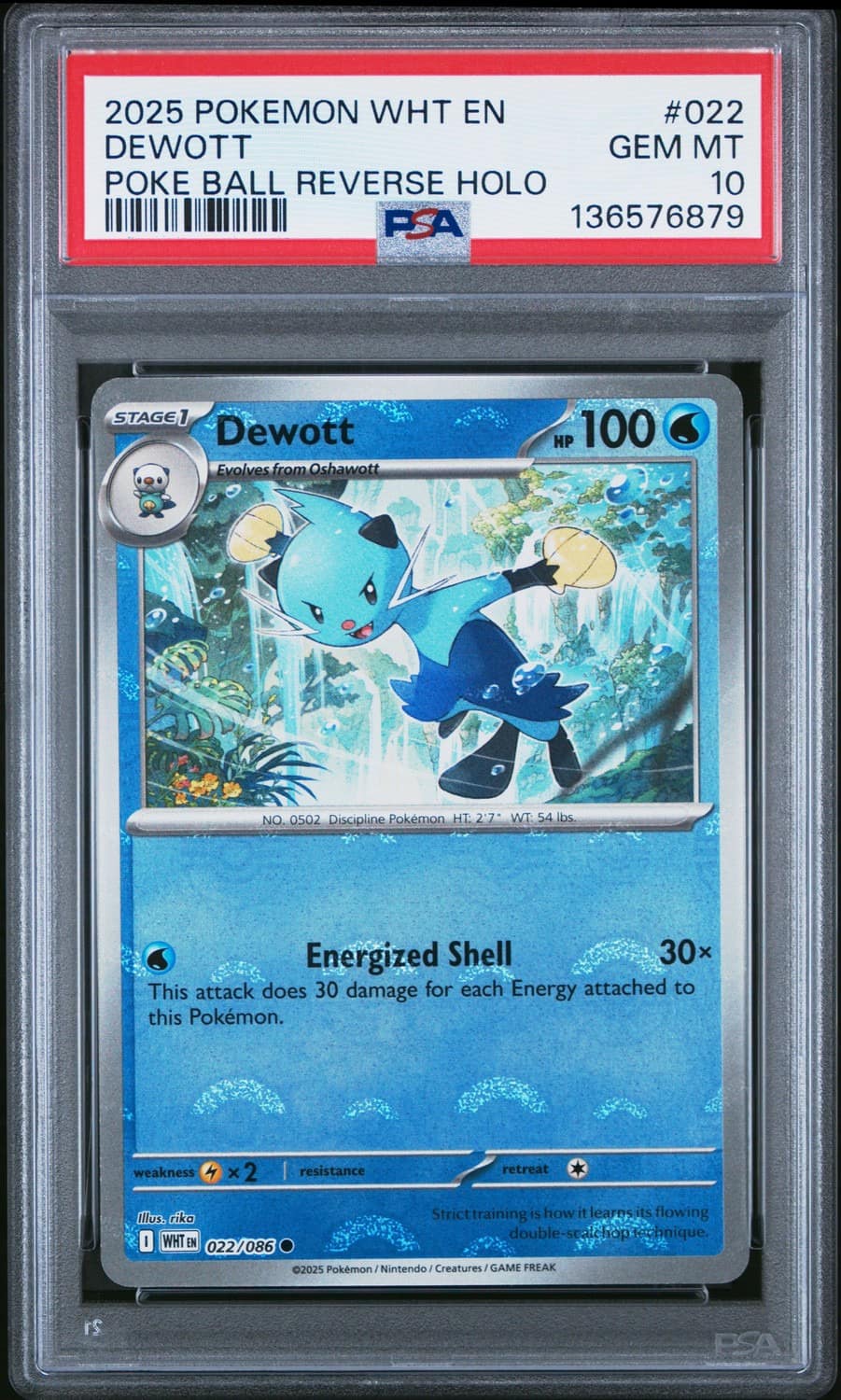 Dewott