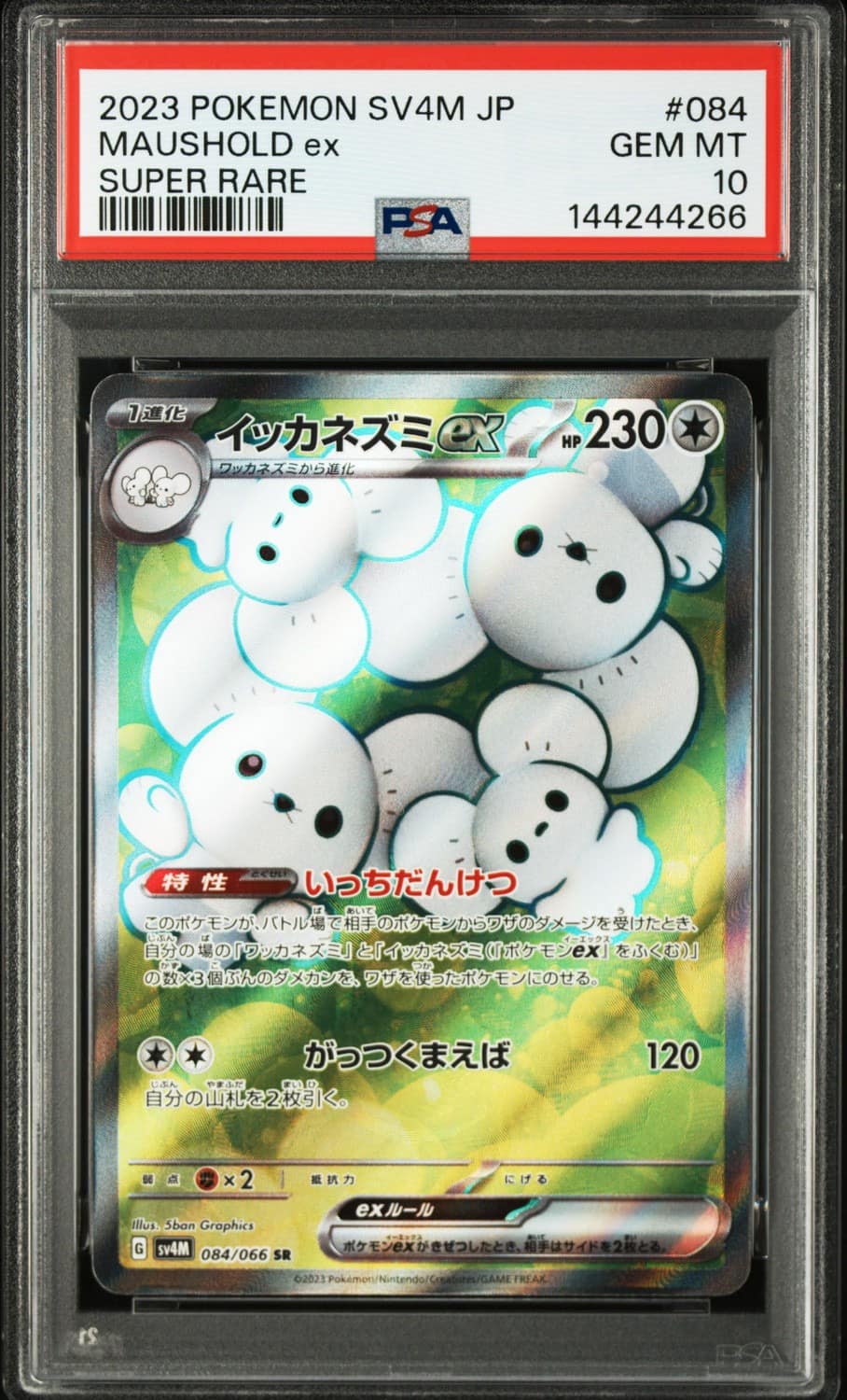 Maushold Ex