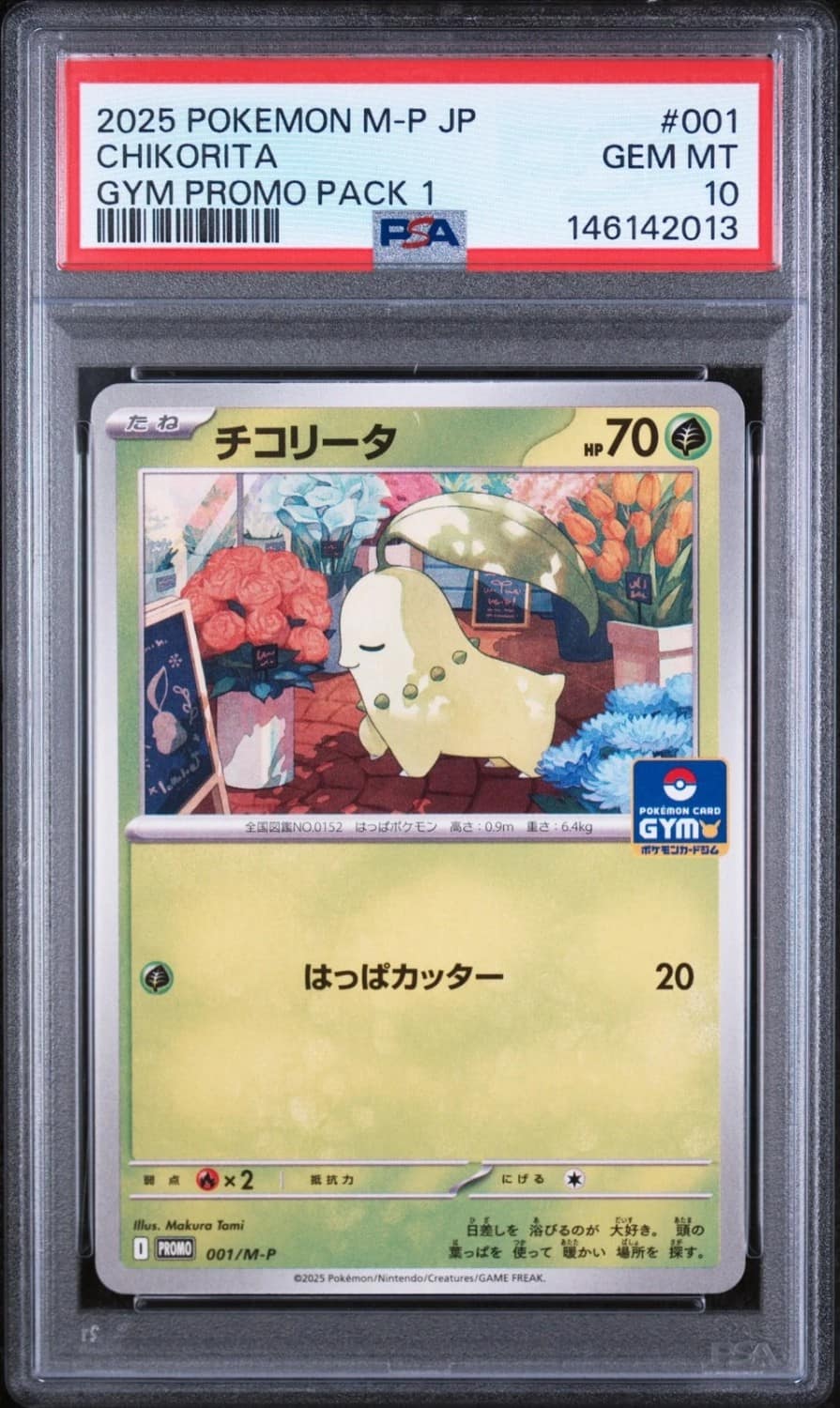 Chikorita