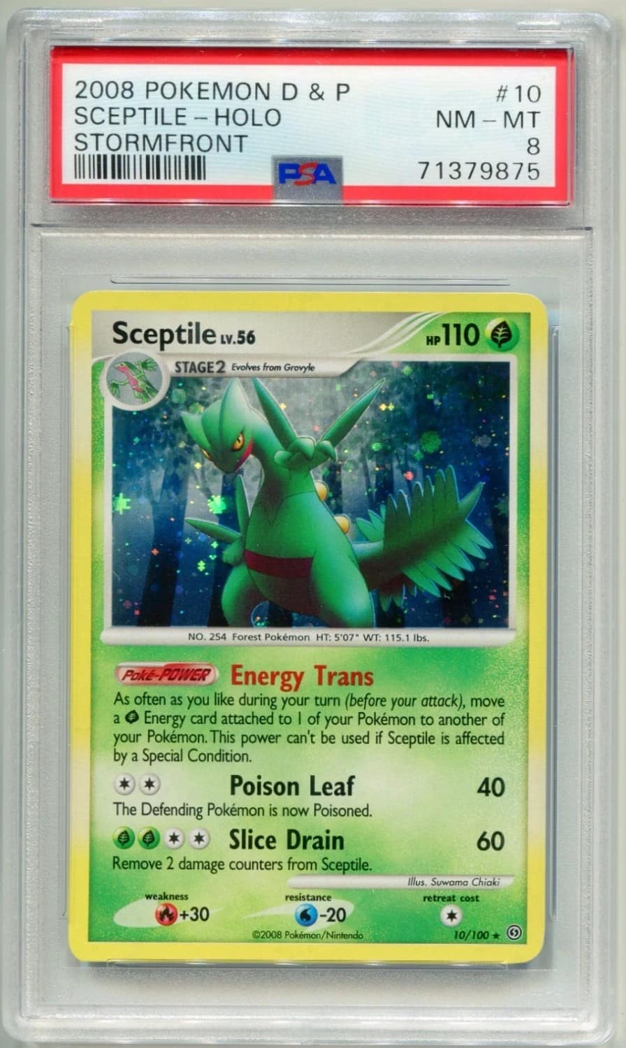 Sceptile