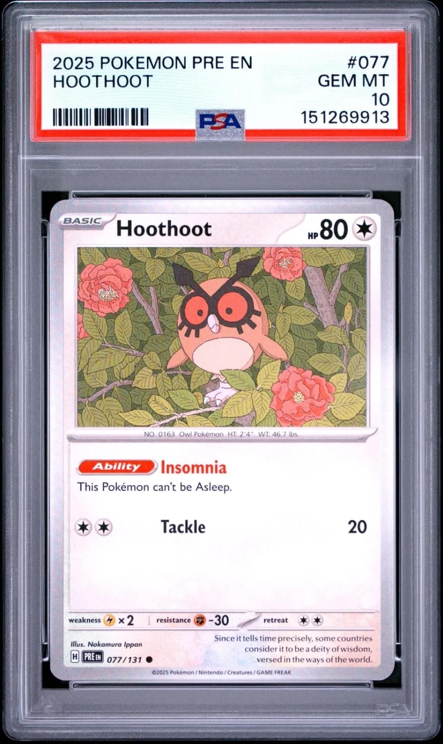 Hoothoot