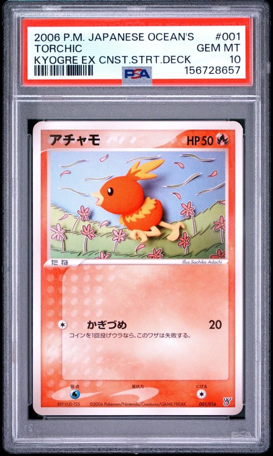 Torchic