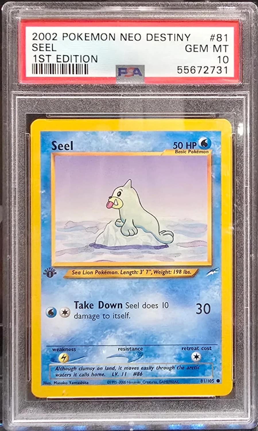 Seel