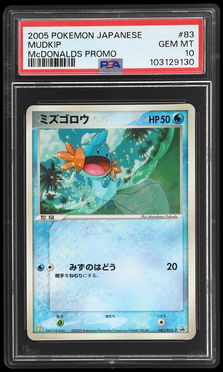 Mudkip