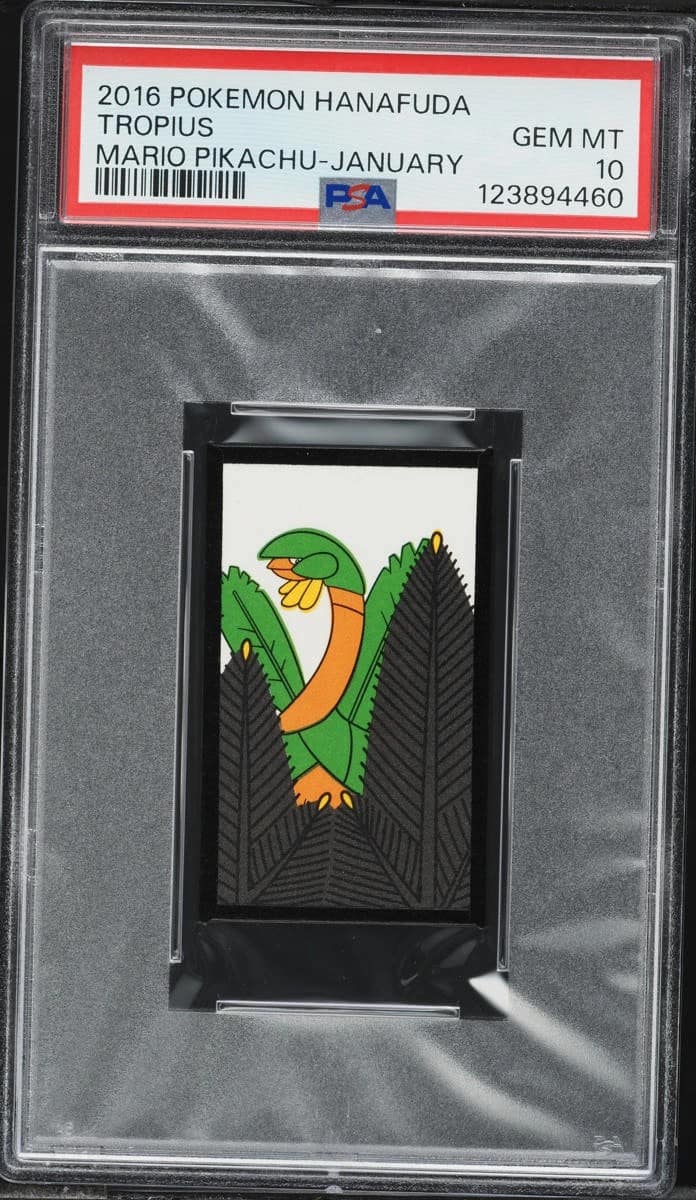 Tropius