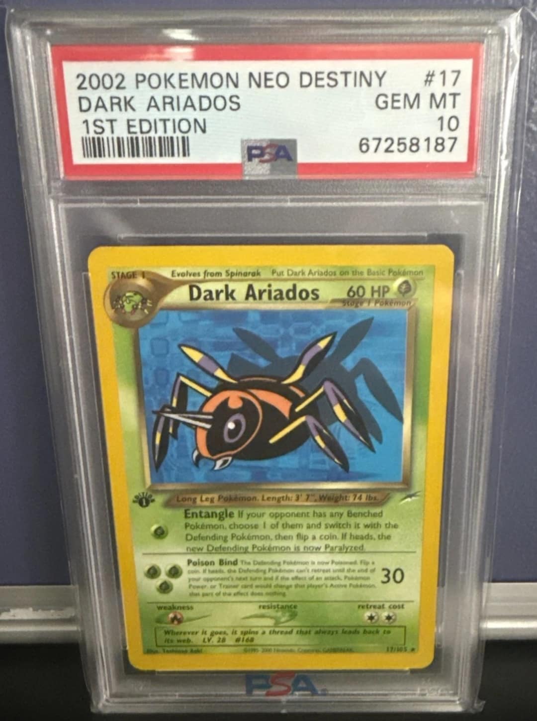 Dark Ariados