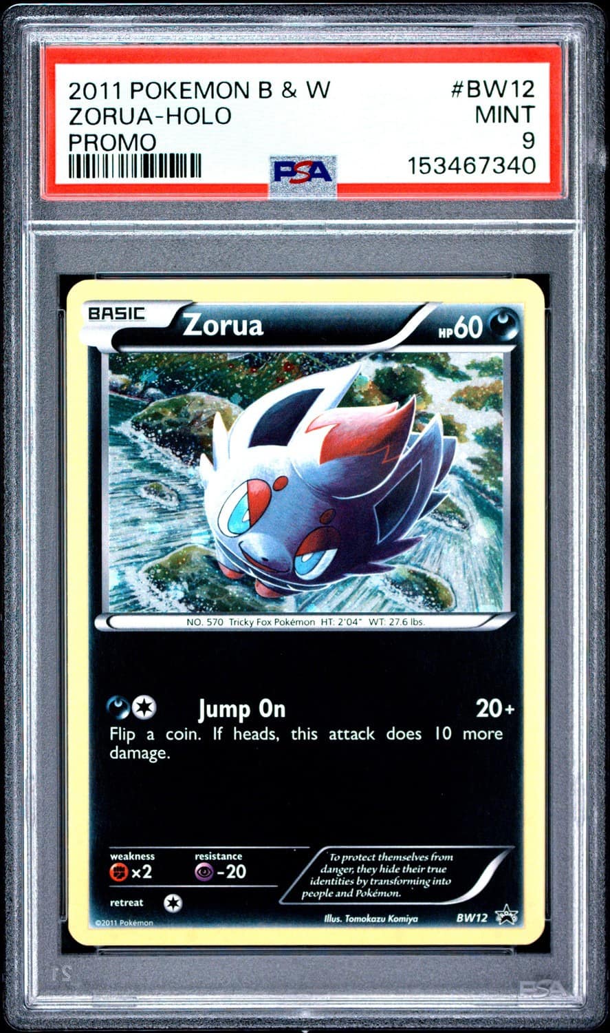 Zorua