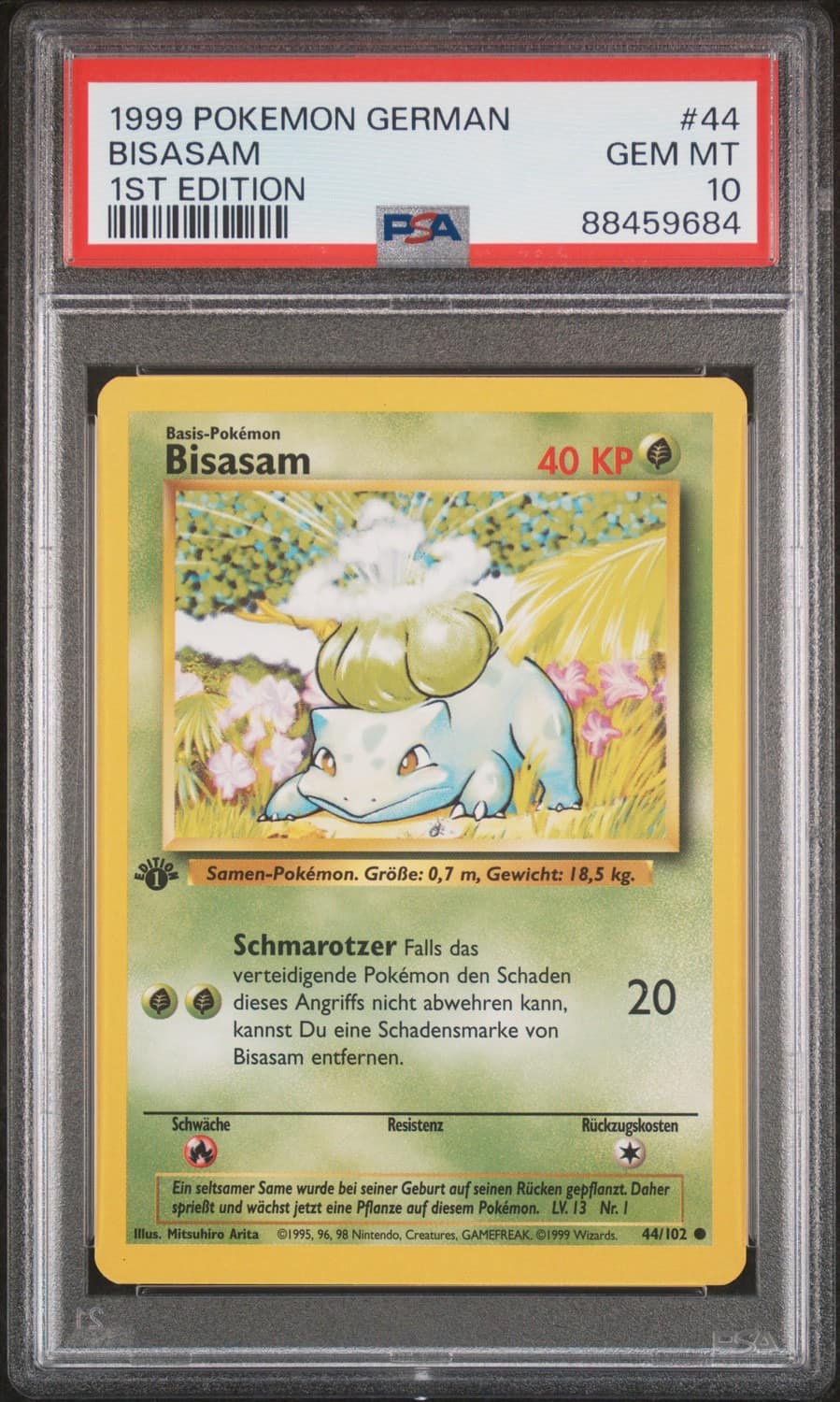 Bisasam