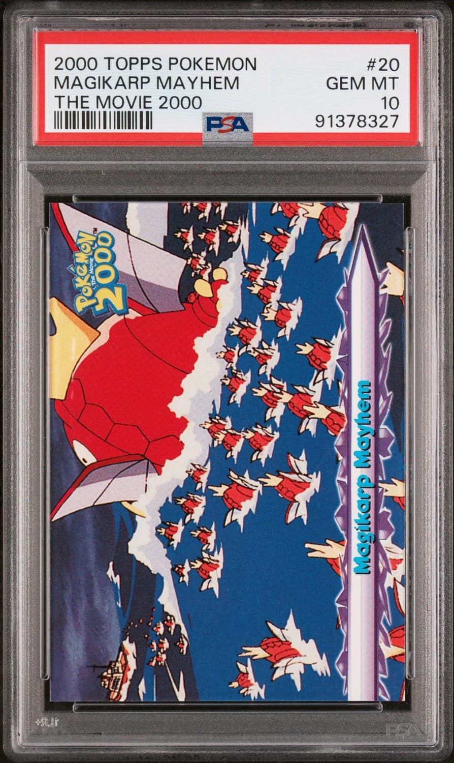 Magikarp Mayhem