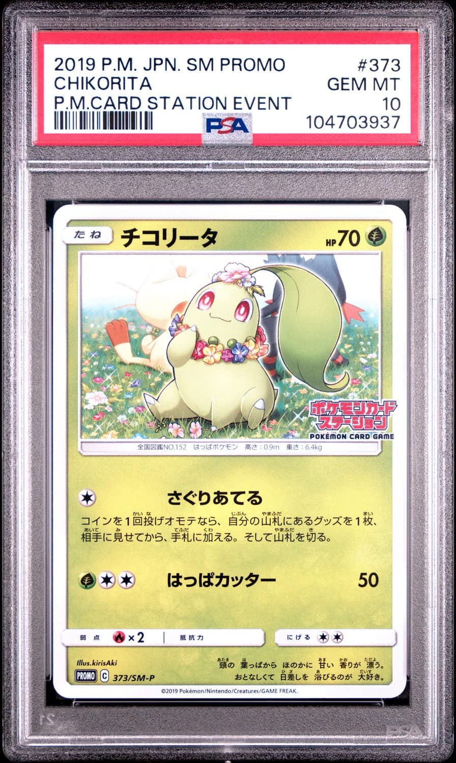 Chikorita