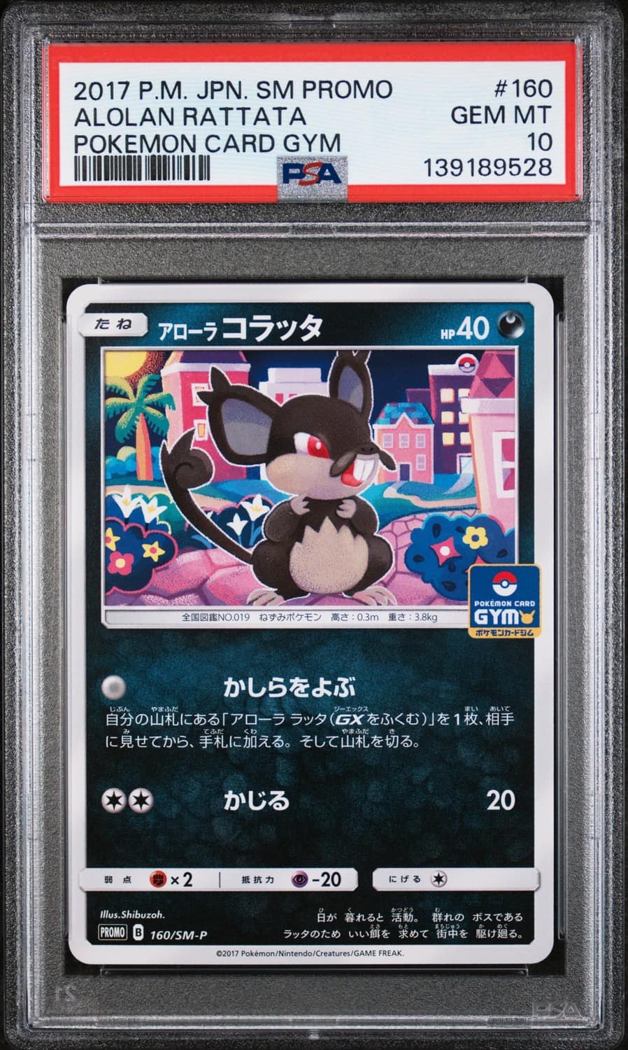 Alolan Rattata