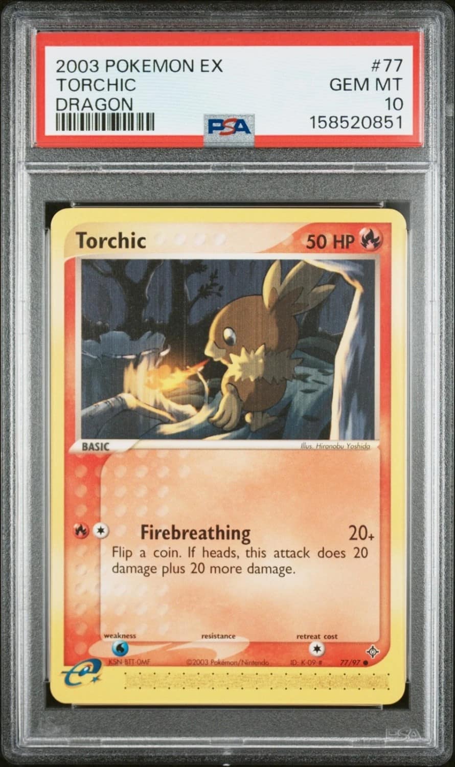 Torchic