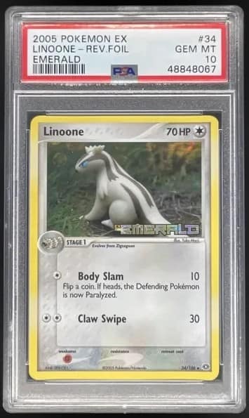 Linoone