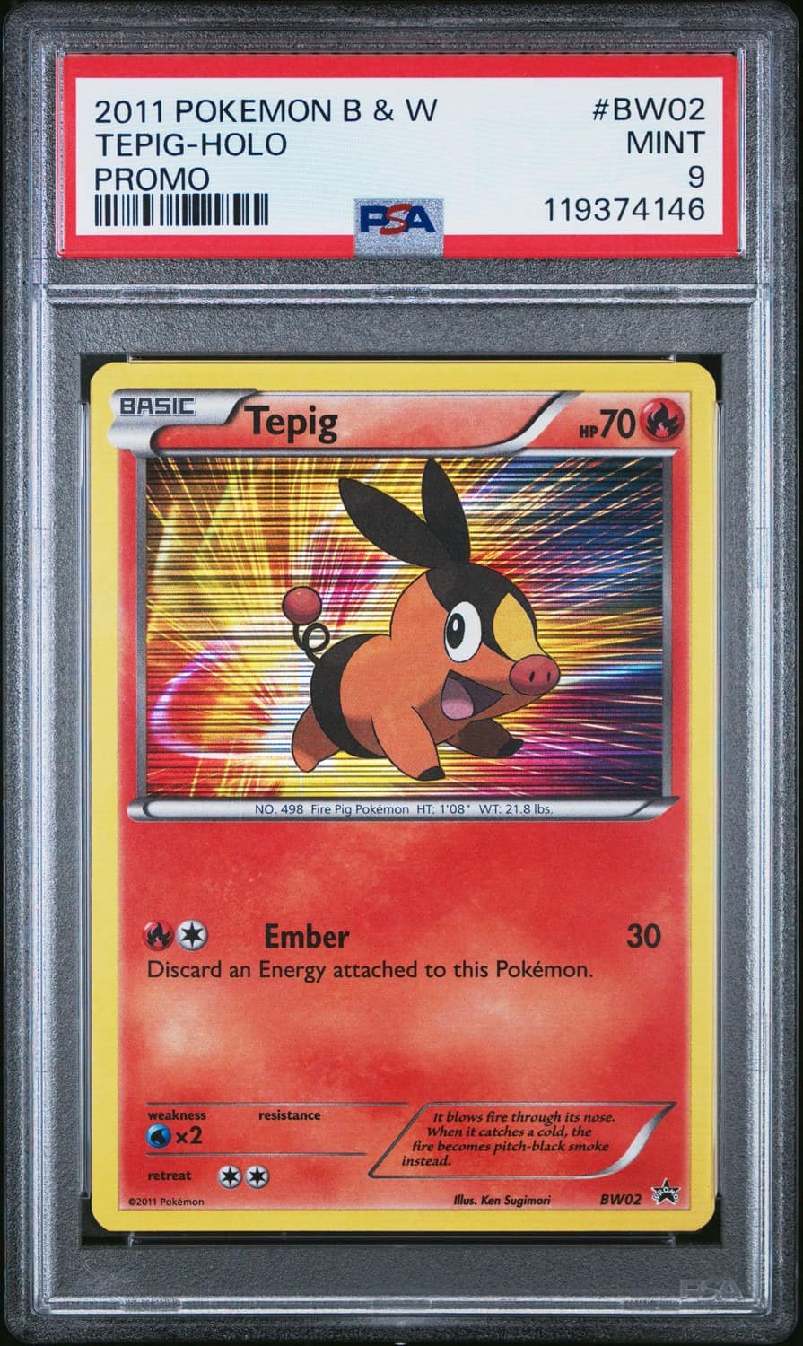 Tepig