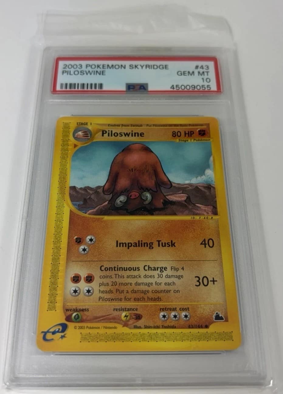 Piloswine