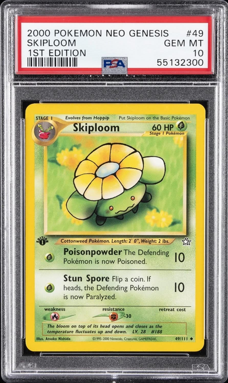 Skiploom