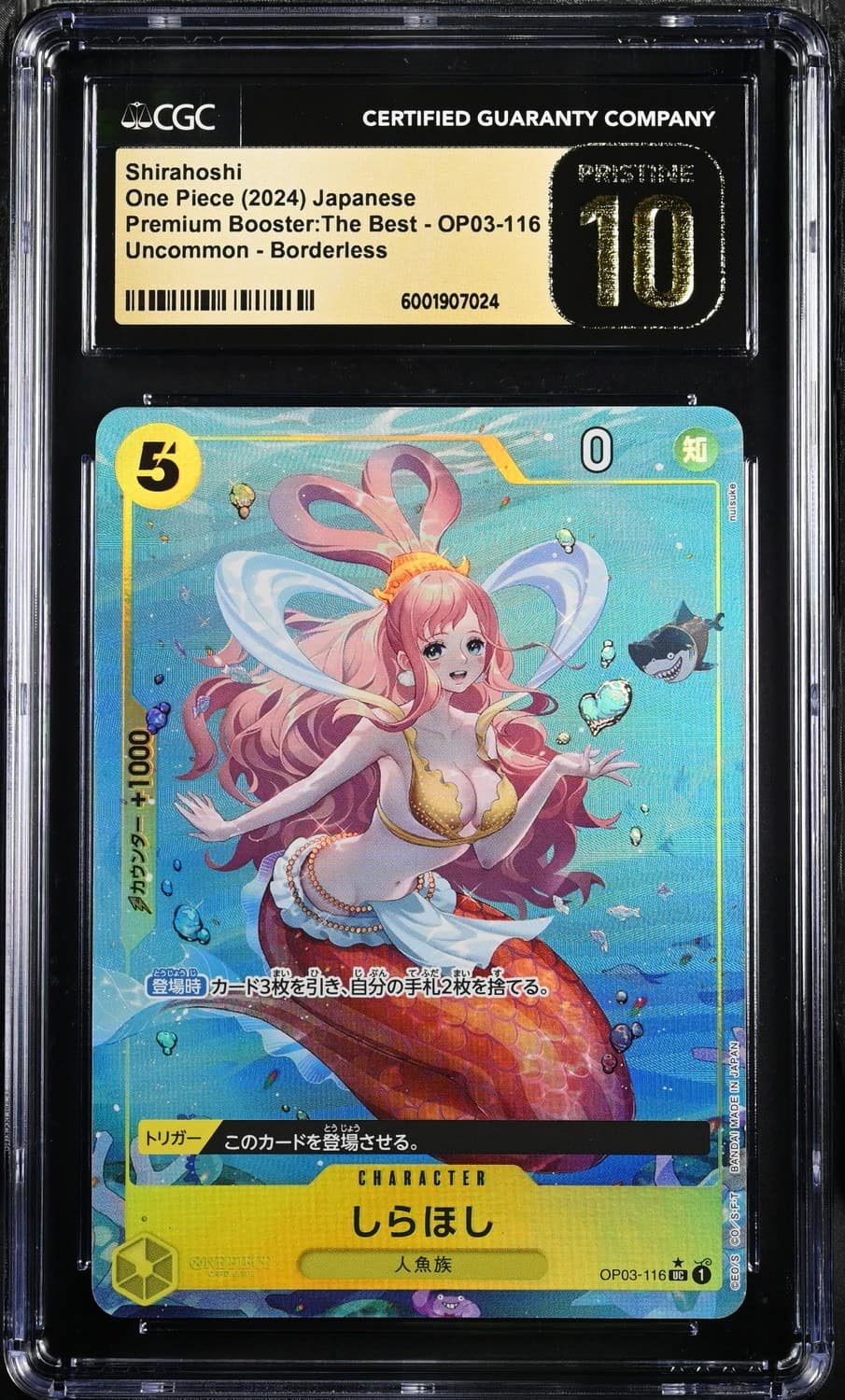 Shirahoshi