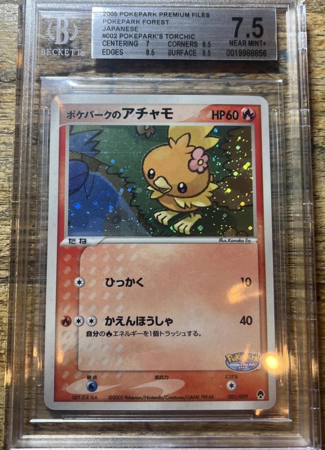 Poképark'S Torchic