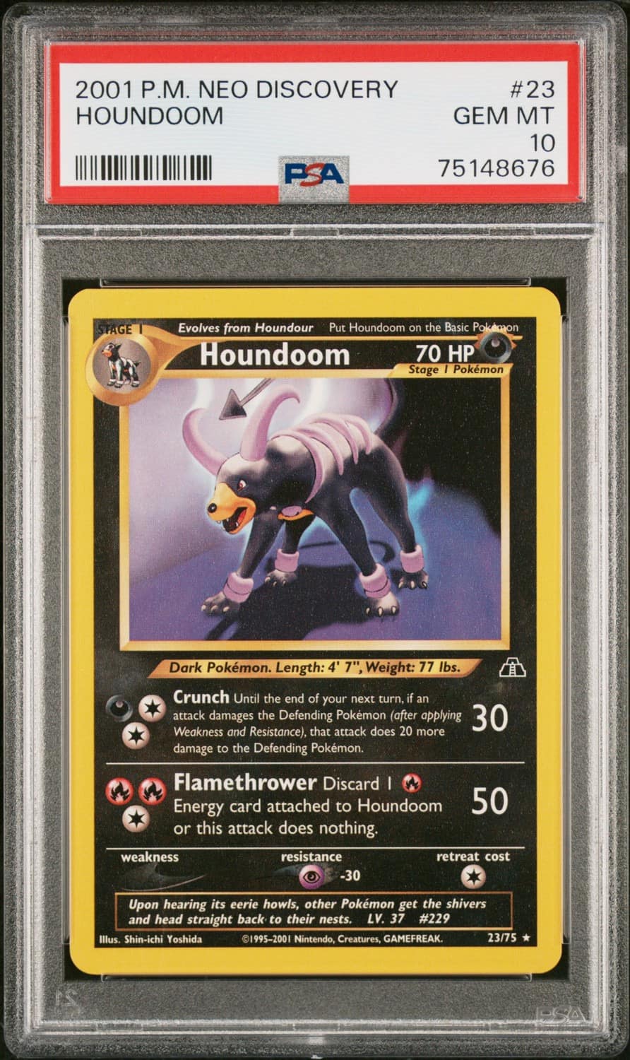 Houndoom