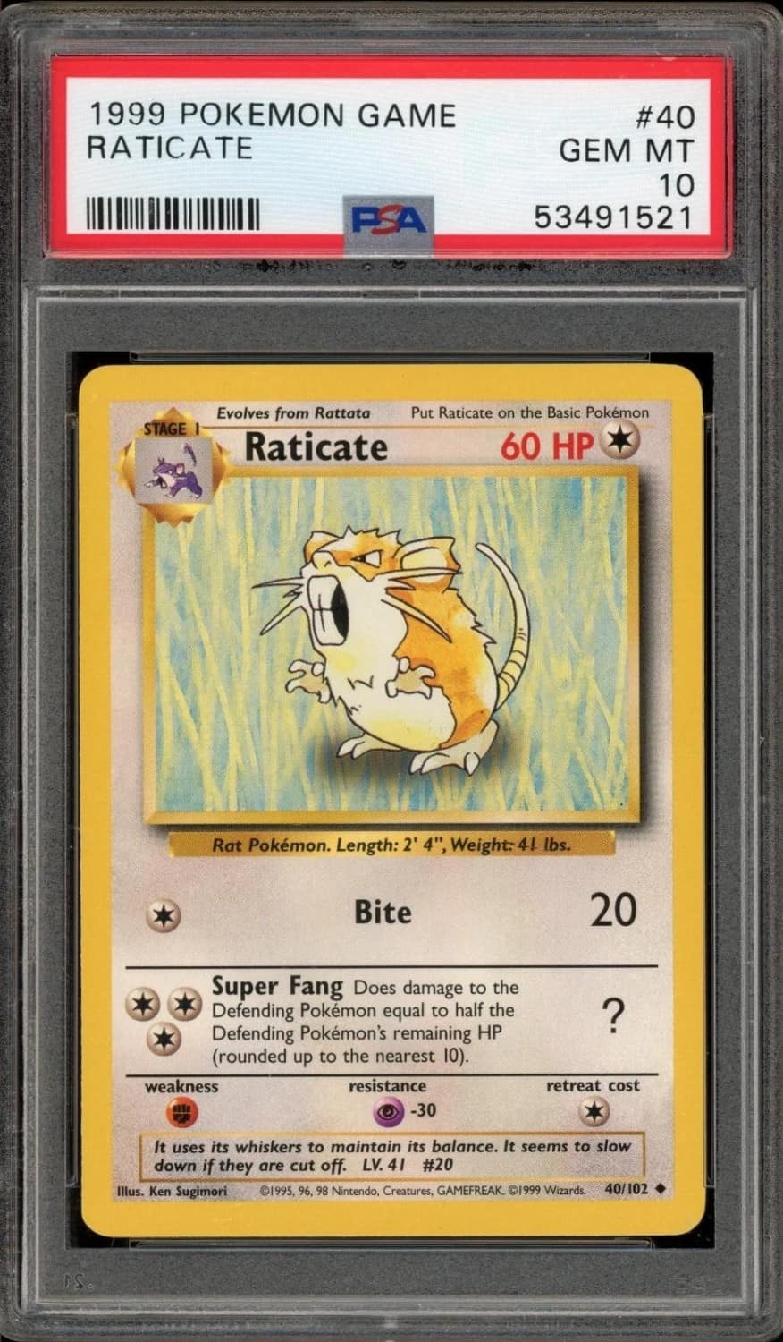 Raticate