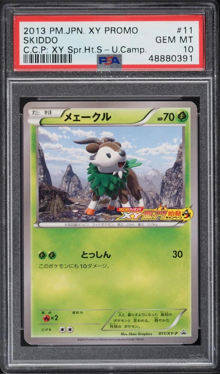 Skiddo